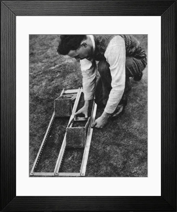 Framed Print : Starting blocks - 1948 Olympic Games Framed Print : Starting blocks - 1948 Olympic Games