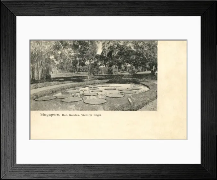 Framed Print : Picture No. 10419466 Framed Print : Picture No. 10419466