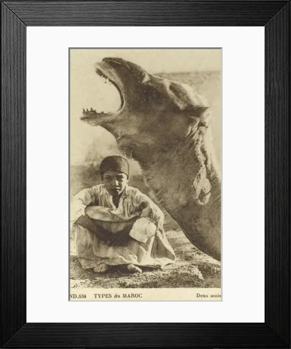 Framed Print : Camel and Young Moroccan Boy - Two Friends Framed Print : Camel and Young Moroccan Boy - Two Friends