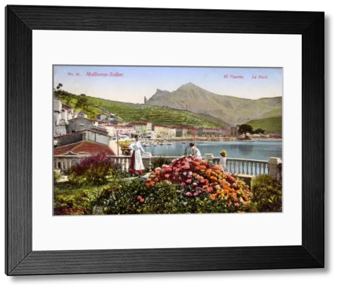 Framed Print : The port at Soller, Mallorca, Spain Framed Print : The port at Soller, Mallorca, Spain