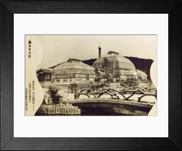 Framed Print : Japanese Botanical Gardens - the Greenhouses Framed Print : Japanese Botanical Gardens - the Greenhouses