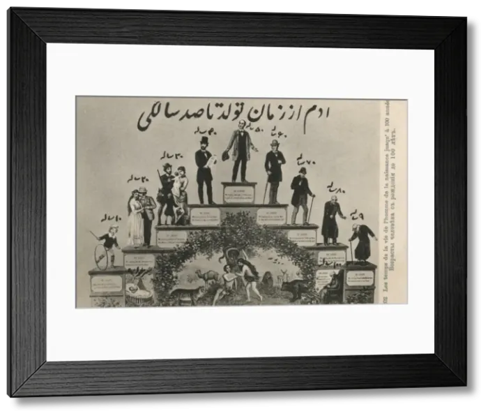 Framed Print : The Life of a Gentleman from birth-100 Framed Print : The Life of a Gentleman from birth-100
