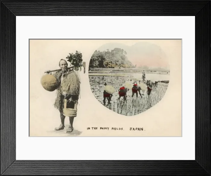 Framed Print : Working the paddy fields - Japan Framed Print : Working the paddy fields - Japan