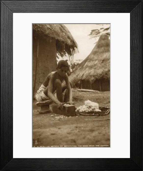 Framed Print : Sierra Leone - Separating the seed from the cotton Framed Print : Sierra Leone - Separating the seed from the cotton