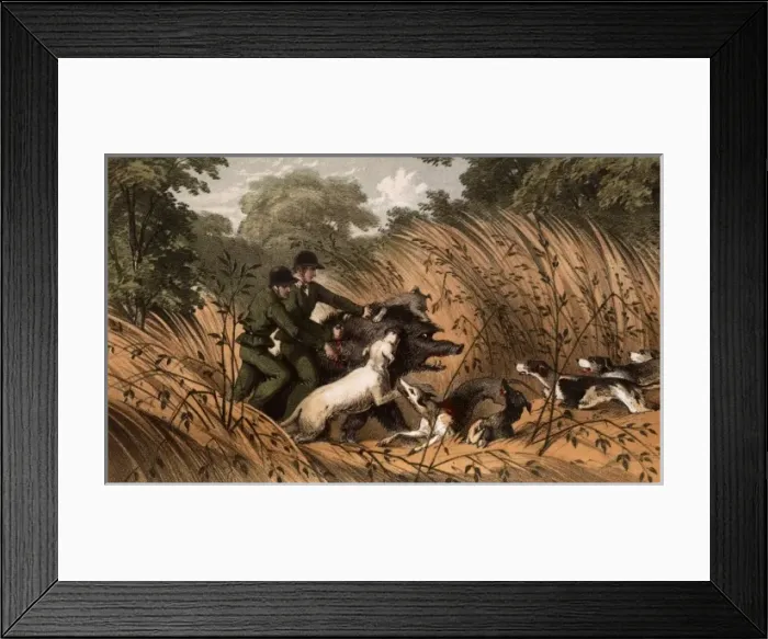 Framed Print : Men and hounds on wild boar hunt, Sri Lanka Framed Print : Men and hounds on wild boar hunt, Sri Lanka