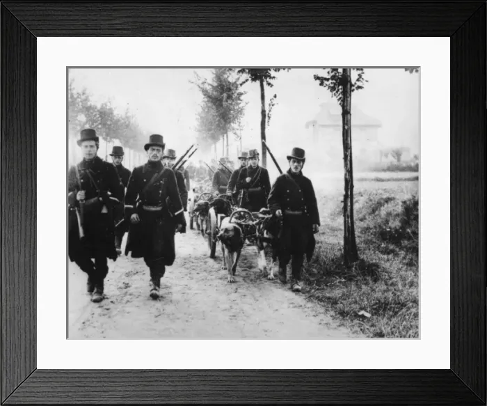 Framed Print : Belgian soldiers retreating to Antwerp, WW1 Framed Print : Belgian soldiers retreating to Antwerp, WW1