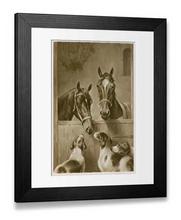 Framed Print : Two Horses and three hounds Framed Print : Two Horses and three hounds