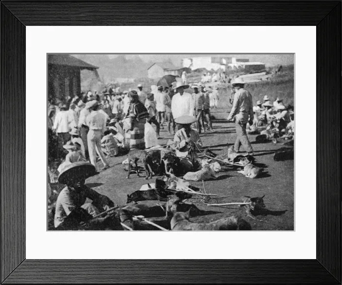 Framed Print : Live stock market Framed Print : Live stock market