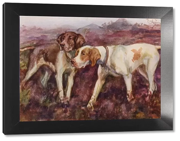 Pointers. Artist: Eileen Hood. Watercolour of dogs walking in the countryside Date