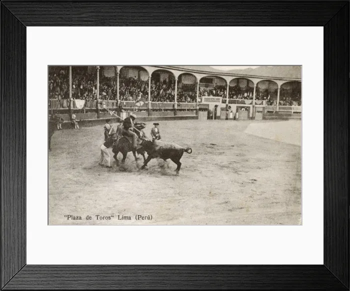 Framed Print : Bullfighting - Lima, Peru Framed Print : Bullfighting - Lima, Peru