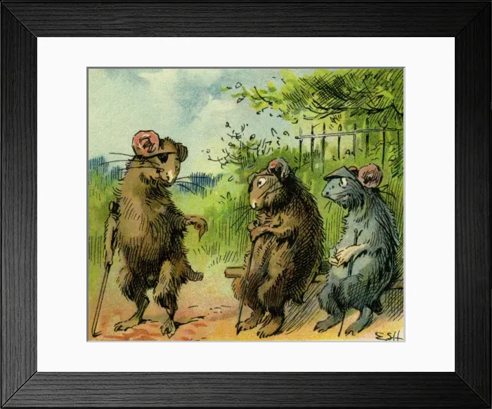 Framed Print : Three Blind Mice Framed Print : Three Blind Mice