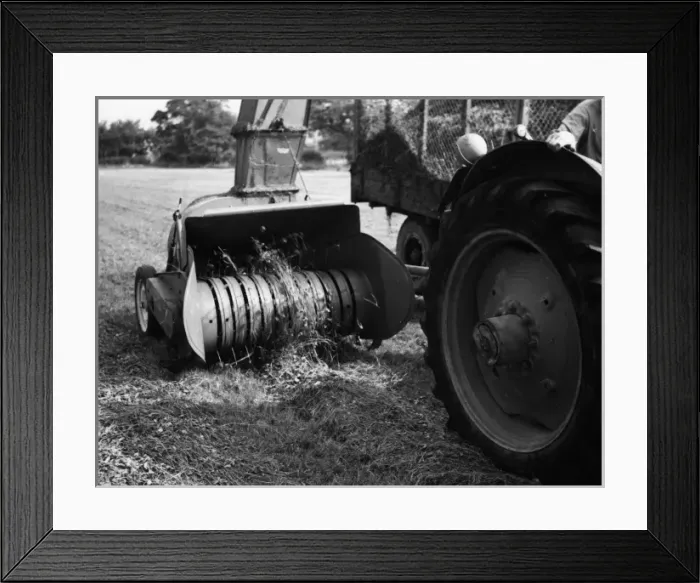 Framed Print : Blanch Blower Framed Print : Blanch Blower