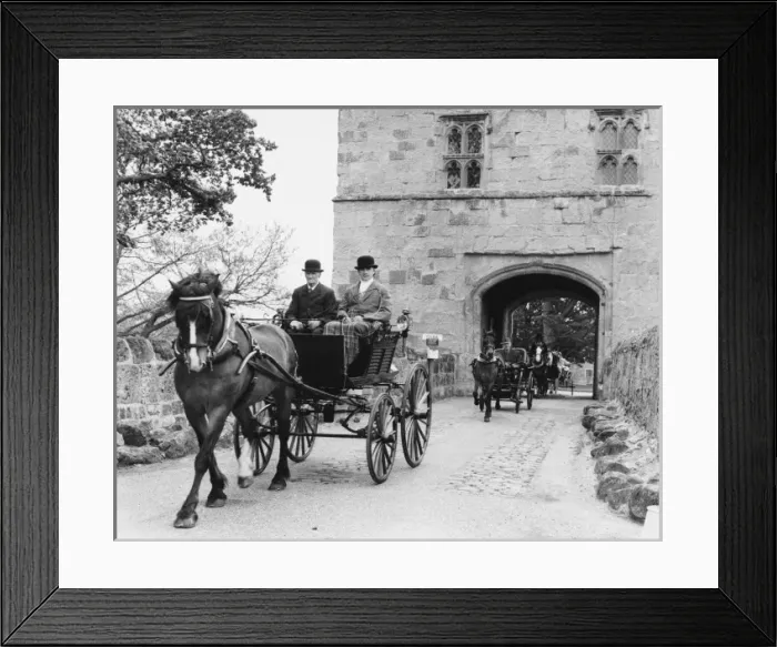 Framed Print : Horse Carriage Rally Framed Print : Horse Carriage Rally