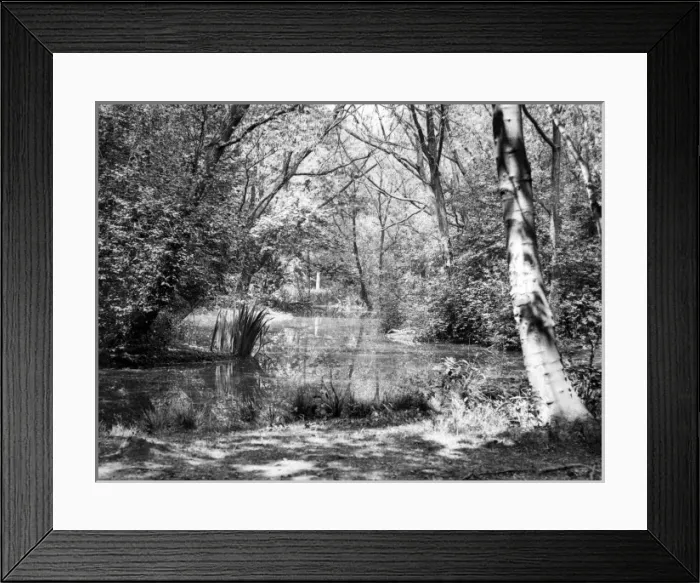 Framed Print : Wanstead Lake Framed Print : Wanstead Lake
