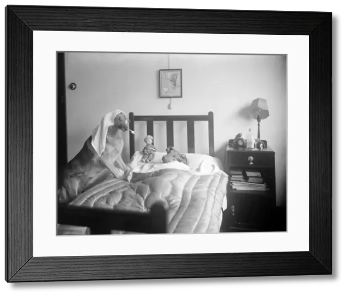 Framed Print : Dog-Tor and Patient Framed Print : Dog-Tor and Patient