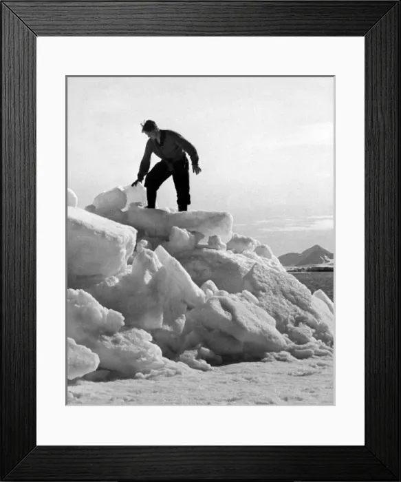 Framed Print : Arctic Bear Hunter Framed Print : Arctic Bear Hunter