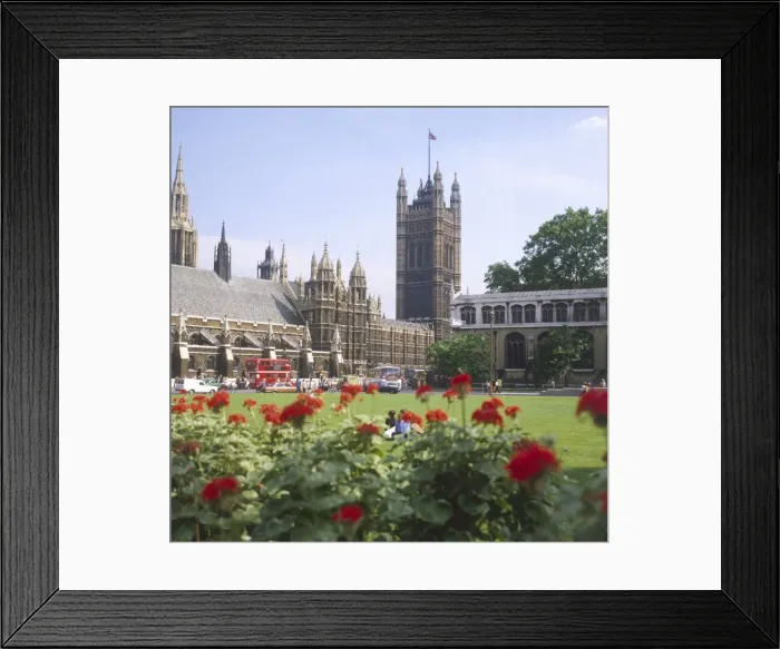 Framed Print : The House of Lords Framed Print : The House of Lords