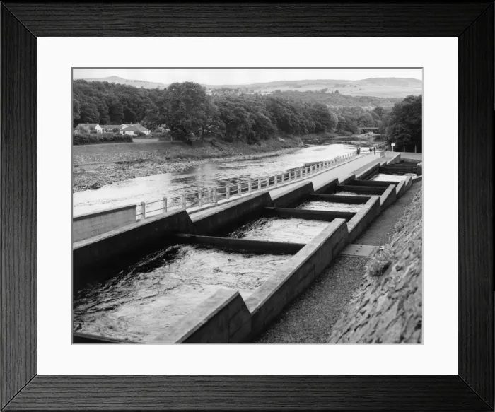 Framed Print : Salmon Fish Ladder Framed Print : Salmon Fish Ladder