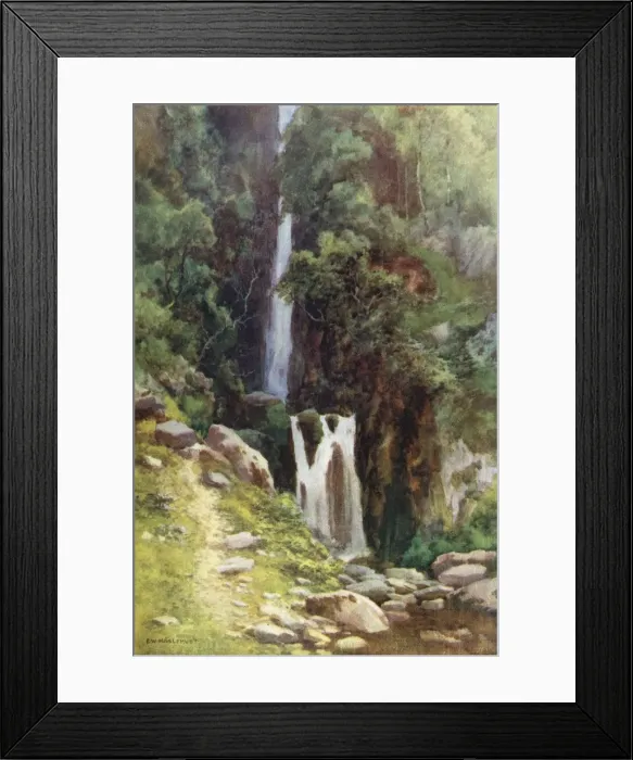 Framed Print : Scale Force Framed Print : Scale Force