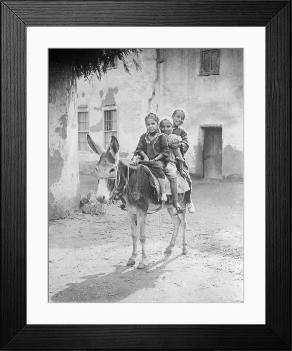 Framed Print : Egyptian Donkey Ride Framed Print : Egyptian Donkey Ride