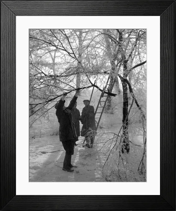 Framed Print : Heavy Snowfall Framed Print : Heavy Snowfall