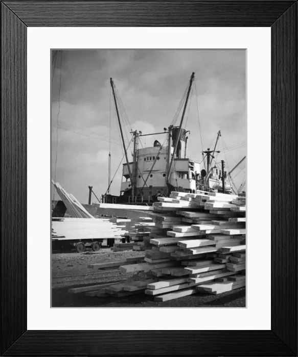 Framed Print : Timber at Hull Docks Framed Print : Timber at Hull Docks