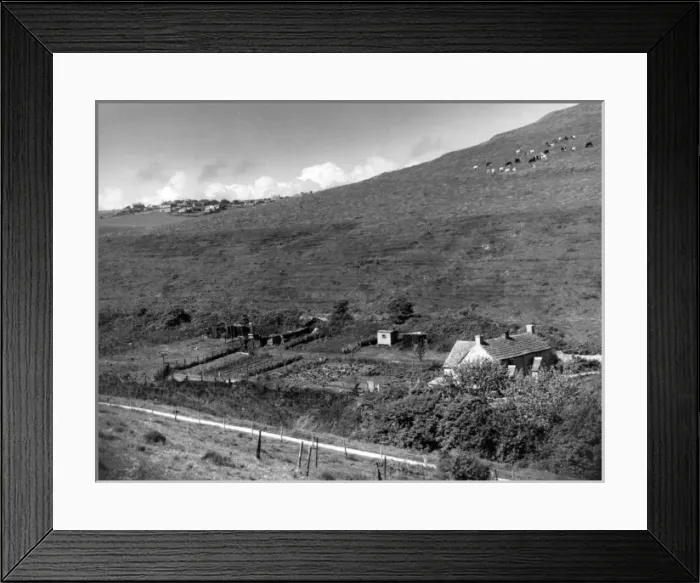 Framed Print : Dorset Countryside Framed Print : Dorset Countryside