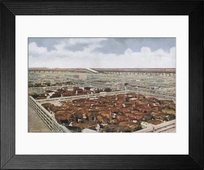Framed Print : Chicago Stock Yards Framed Print : Chicago Stock Yards