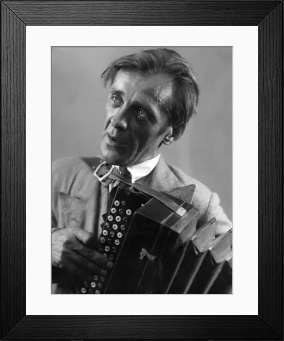 Framed Print : Hungarian Accordion Framed Print : Hungarian Accordion