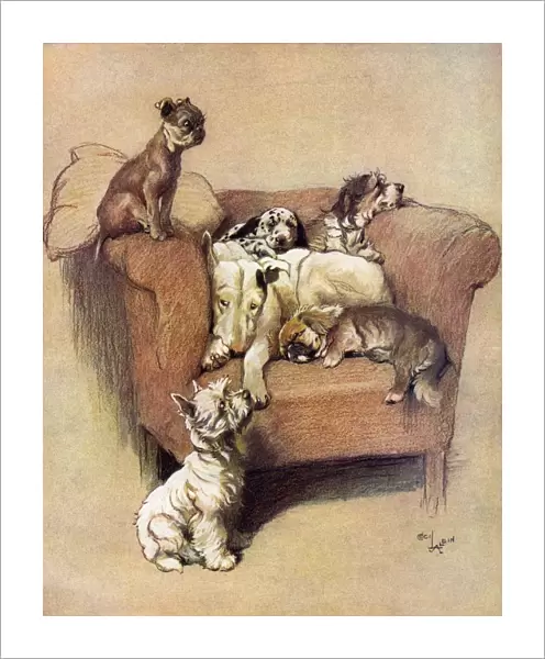 A House Full by Cecil Aldin