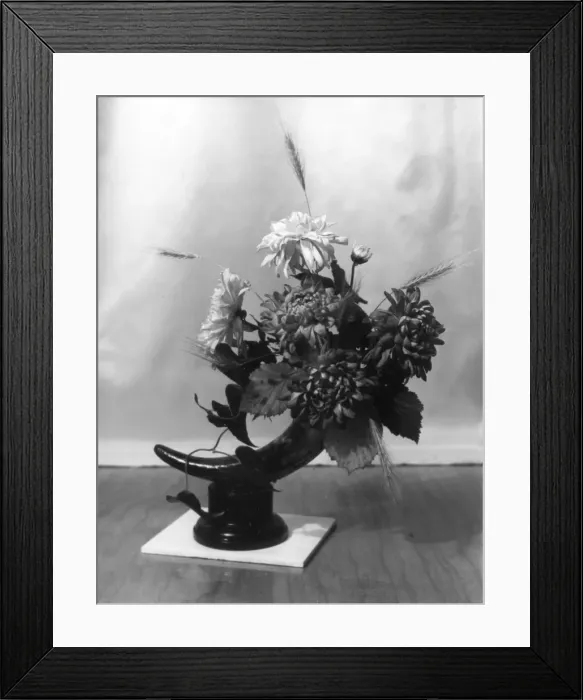 Framed Print : DIAMOND FLOWERS Framed Print : DIAMOND FLOWERS