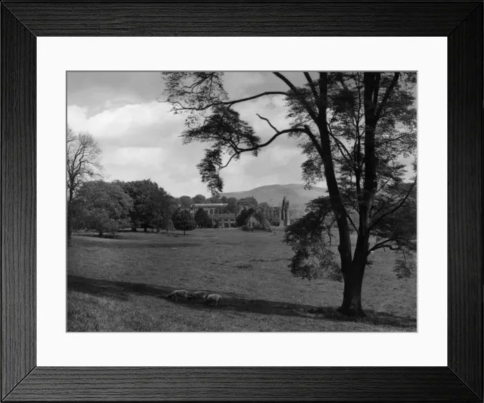 Framed Print : Bolton Abbey Framed Print : Bolton Abbey