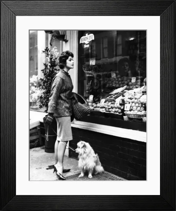 Framed Print : Housewife Shopping Framed Print : Housewife Shopping