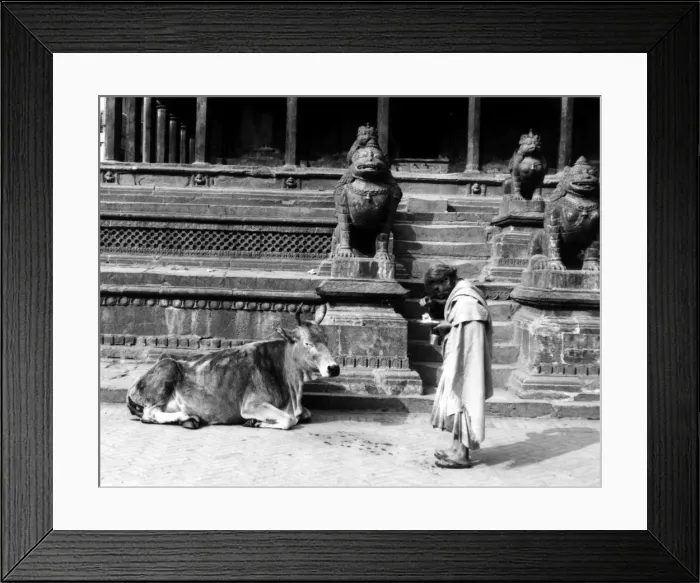 Framed Print : Nepal Patan Framed Print : Nepal Patan