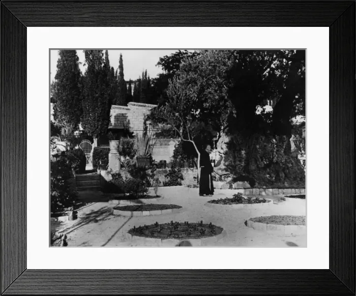 Framed Print : The Garden of Gethsemane Framed Print : The Garden of Gethsemane