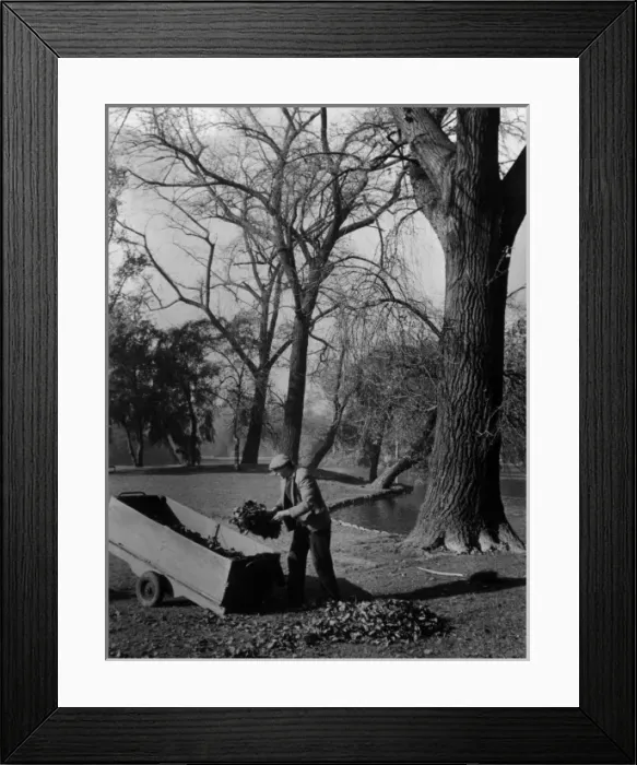 Framed Print : Autumn Leaves Framed Print : Autumn Leaves