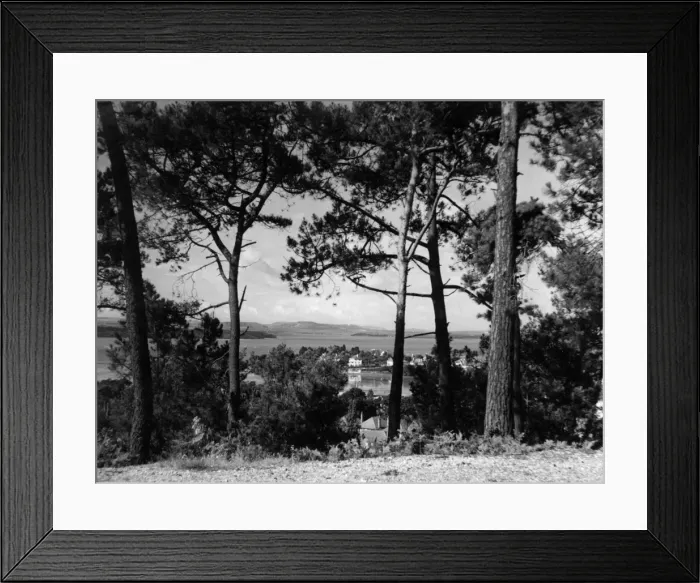 Framed Print : Dorset Scenery Framed Print : Dorset Scenery