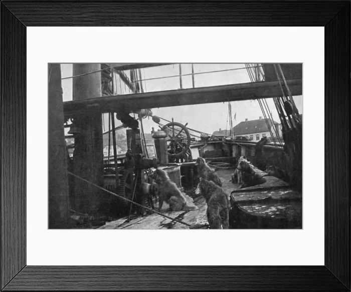 Framed Print : The Deck of the Fram, 1912 Framed Print : The Deck of the Fram, 1912