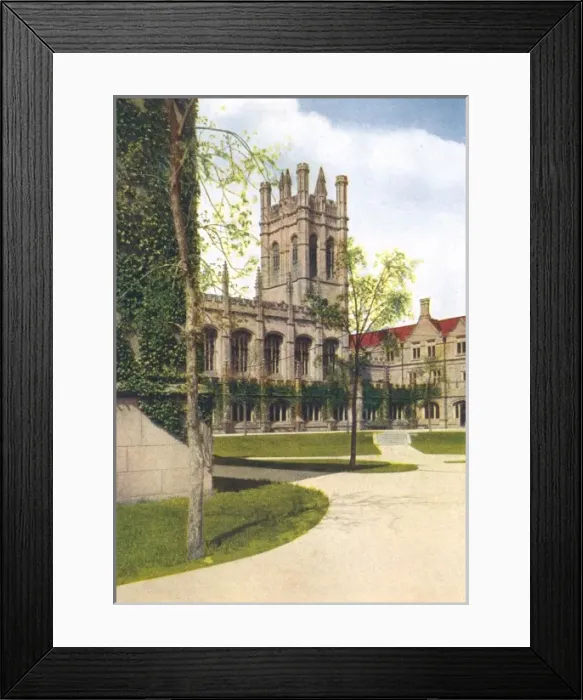 Framed Print : Chicago University Framed Print : Chicago University