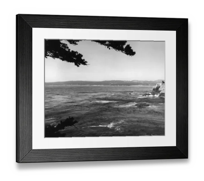 Framed Print : USA / Point Lobos Framed Print : USA / Point Lobos