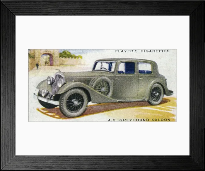Framed Print : A. C. Greyhound Framed Print : A. C. Greyhound