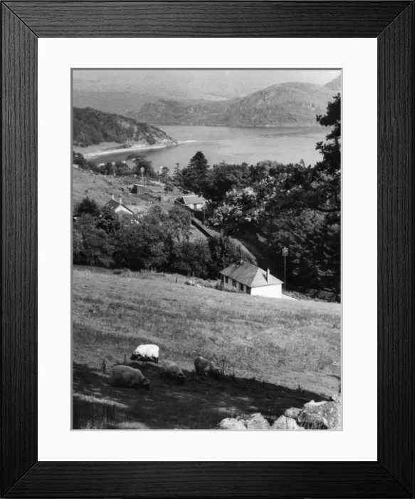 Framed Print : Scotland / Loch Fyne Framed Print : Scotland / Loch Fyne