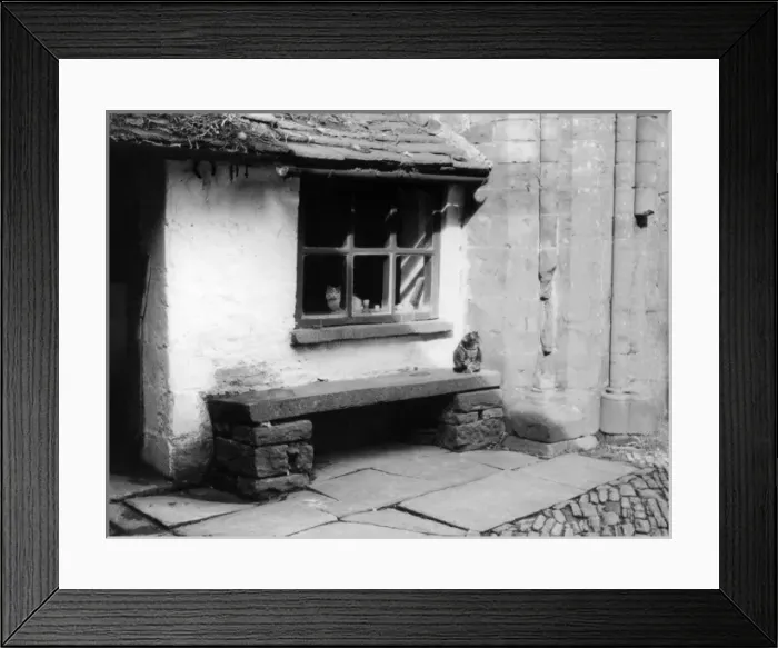 Framed Print : ABBEY CATS Framed Print : ABBEY CATS