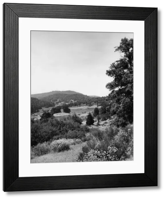 Framed Print : Palomar State Park Framed Print : Palomar State Park