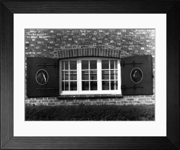 Framed Print : Horse Head Shutters Framed Print : Horse Head Shutters