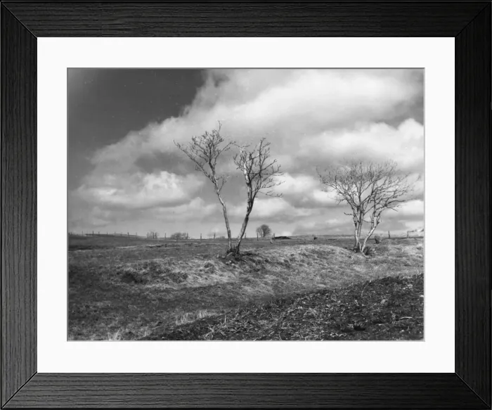Framed Print : North Yorkshire Moors Framed Print : North Yorkshire Moors