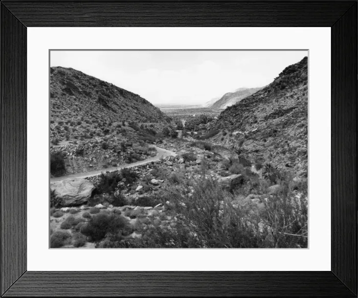 Framed Print : Palm Canyon Framed Print : Palm Canyon