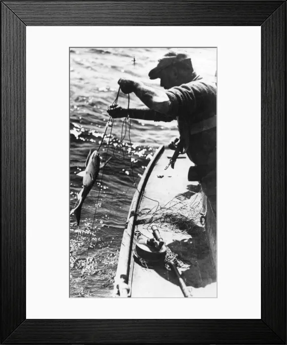 Framed Print : Swordfishing Framed Print : Swordfishing
