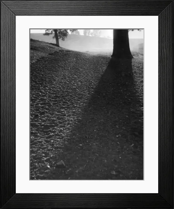 Framed Print : Morning Sunshine Framed Print : Morning Sunshine