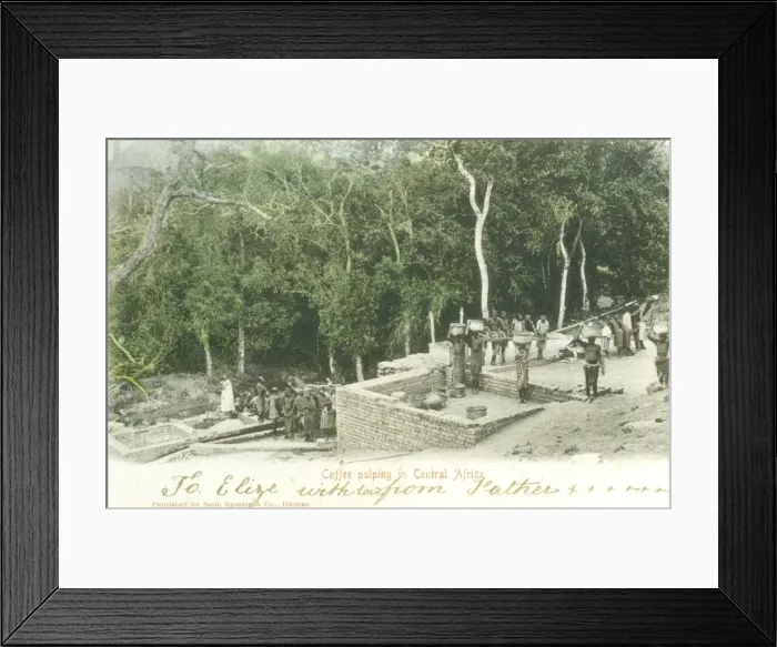 Framed Print : Coffee pulping in Central Africa Framed Print : Coffee pulping in Central Africa